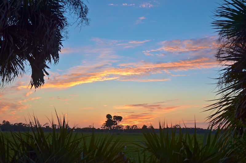 Evening Stillness