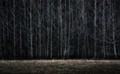Darkwood