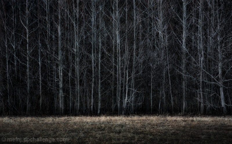 Darkwood
