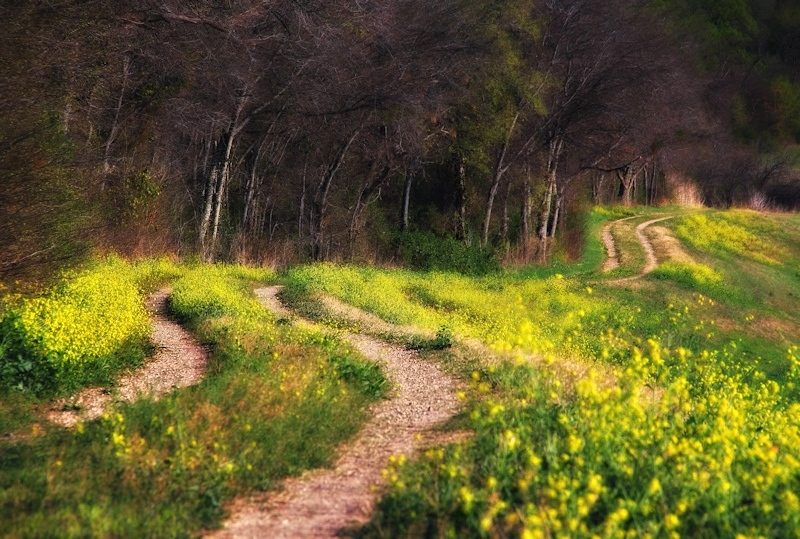 The long way home