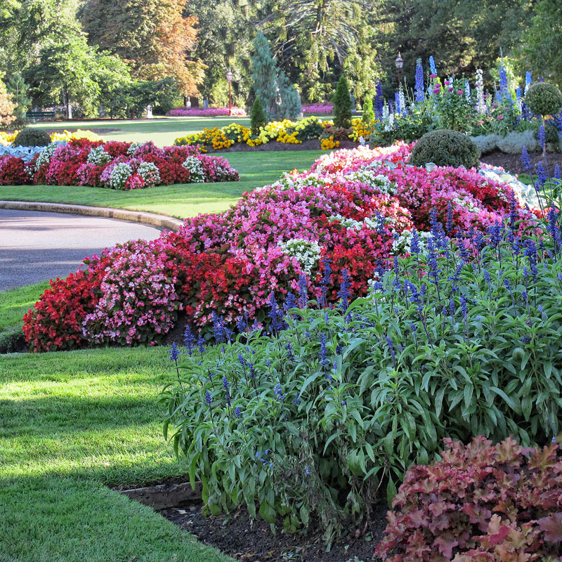 Landscaped Garden