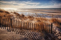 Dune Fence & Tide Flats, Early Spring