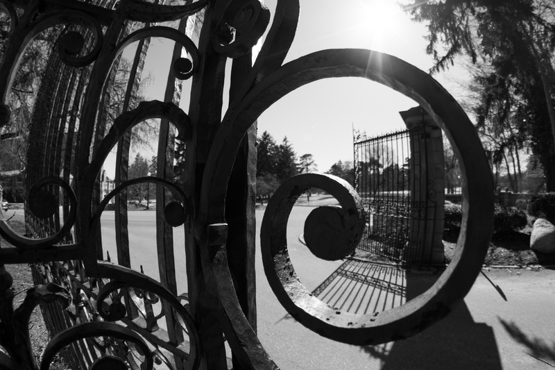 Fence Gate