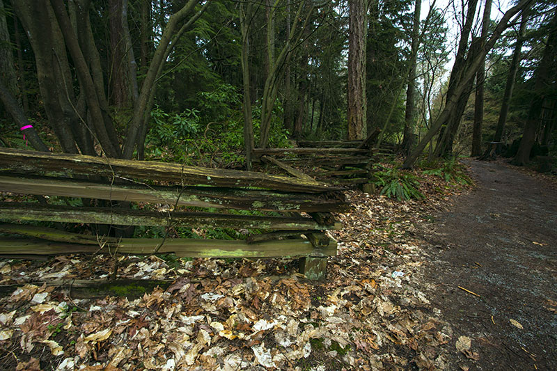 Old Fences