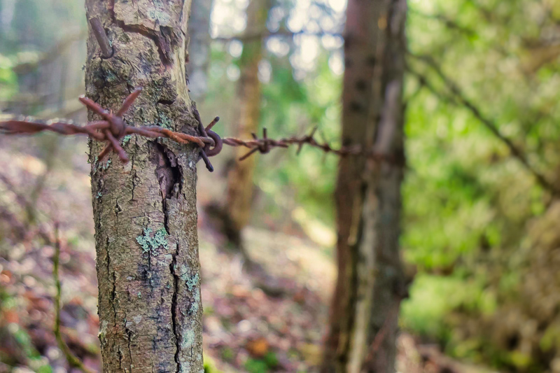 Barbed wire fence from the ancient times