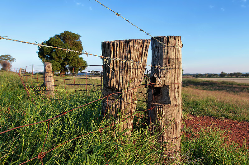 The Corner Post