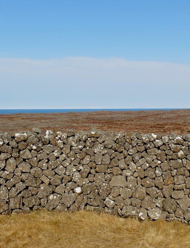 Icelandic sheep fences