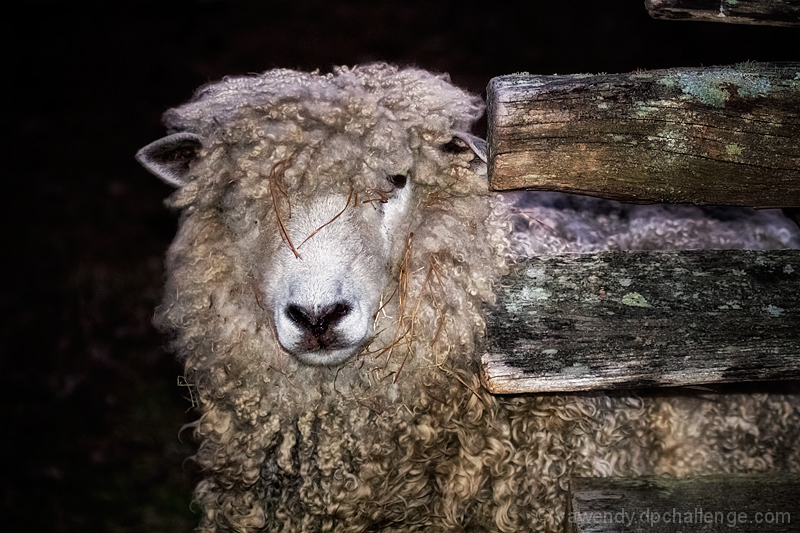 When the fence ends, do I really need to stay behind it??