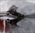 Pond Skimmer