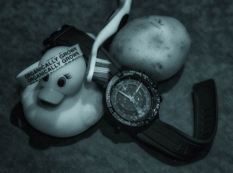 Toothless Duckie Plays the Timex Blues