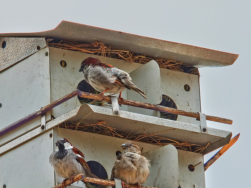 Deluxe Apartment In The Sky