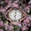 Eco-Drive