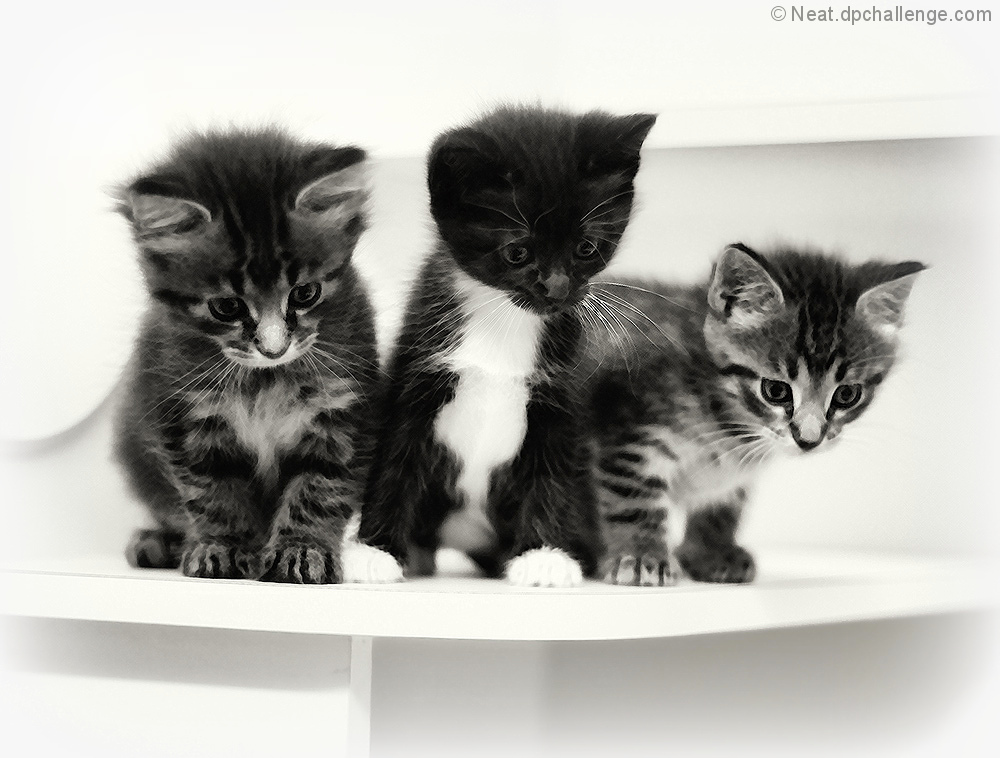 Contemplating their next move 