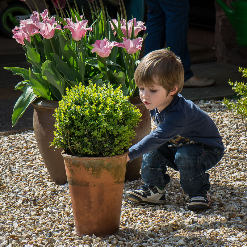 The Littlest Gardener