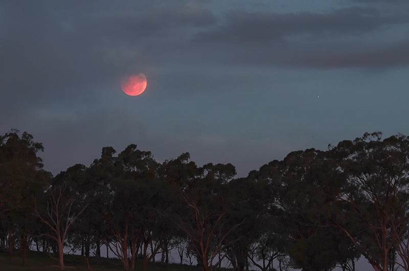 Moon Rise