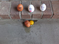Poor Humpty