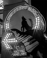Howl At The Moon