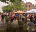 Red Poppy Festival Time-800 Main Street, Courthouse Square, Georgetown Texas