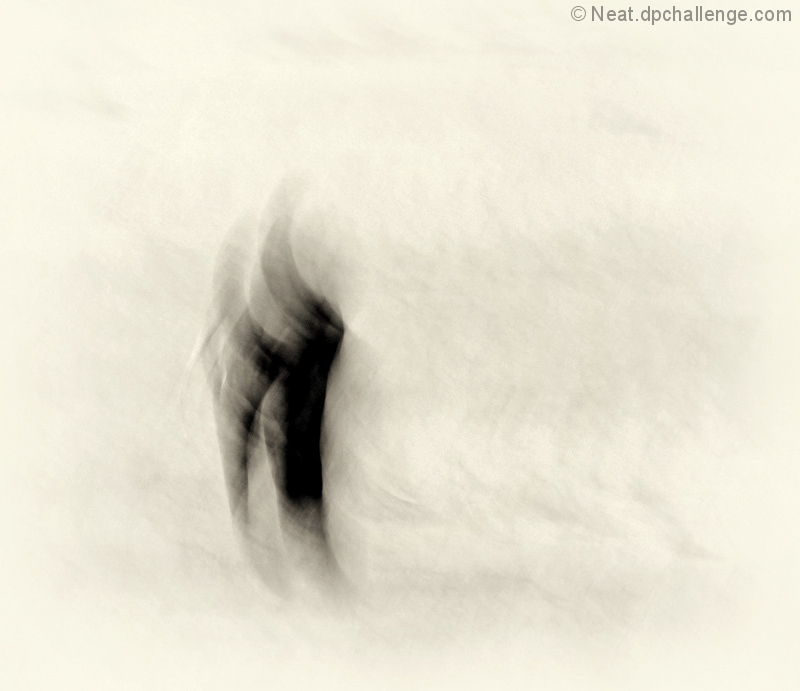 Entwined