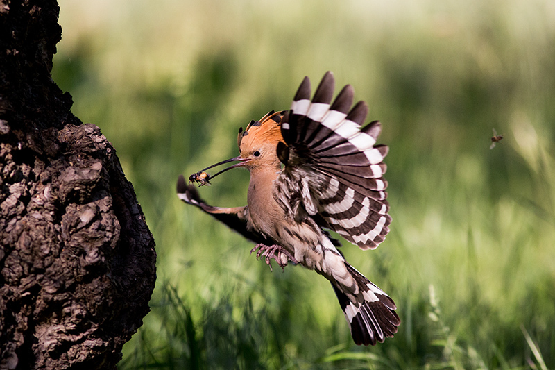Feeding time