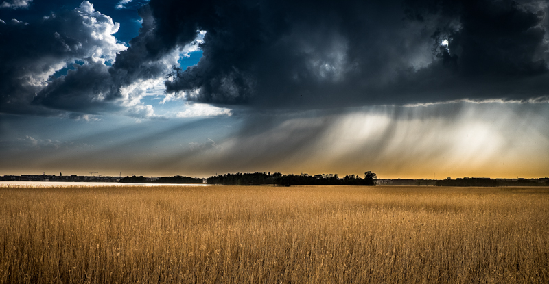 It rains, and the days are light and dreary. 