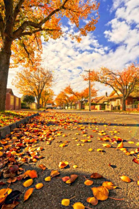 Autum in southern country