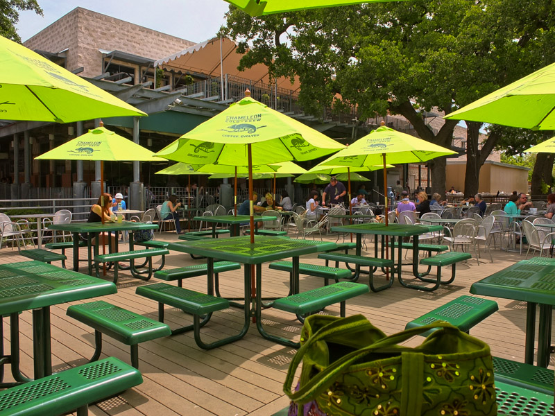 Lunch In The Spring