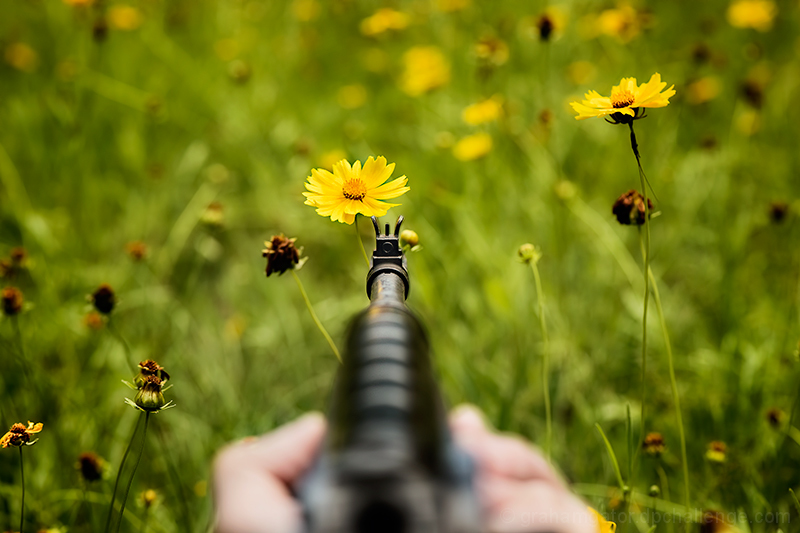 flower power