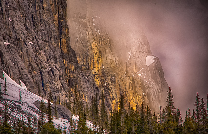 Mountain Mist