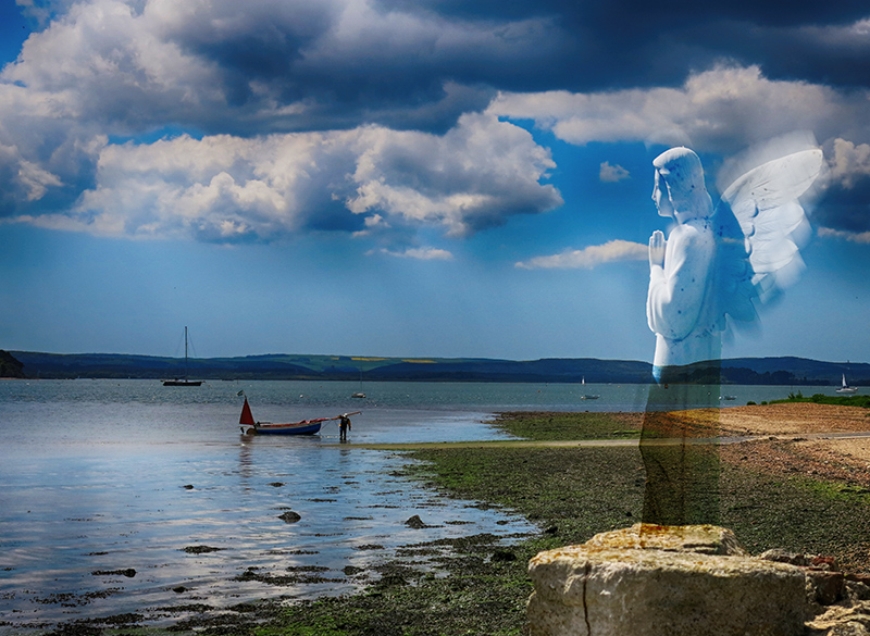 Safe Harbour