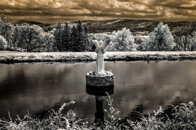 Pond With A View