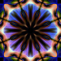 Alien Eyetopsy