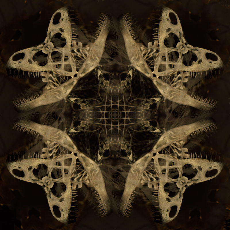 Bones