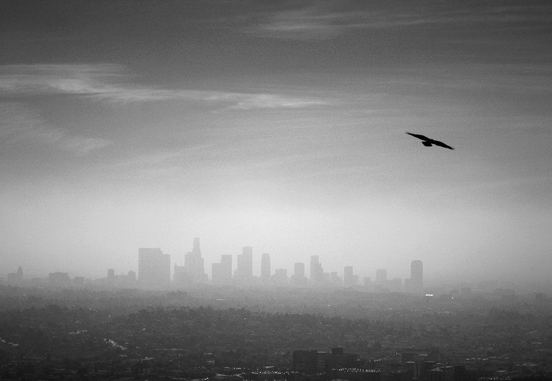 City of Angels 