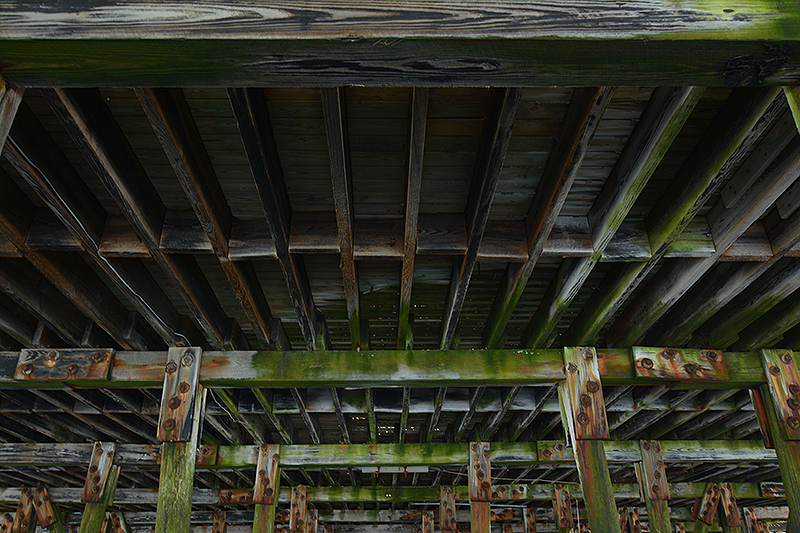 Under the Boardwalk