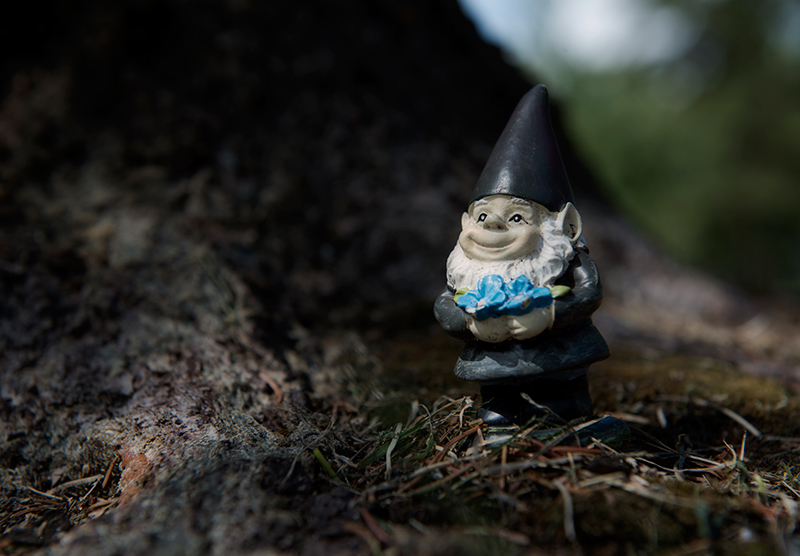 wee gnome