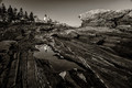 Pemaquid Point Park