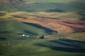 View from Steptoe Butte State Park