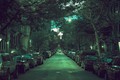 Summer Nights