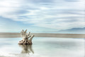 Antelope Island