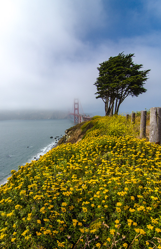 by the windswept shore