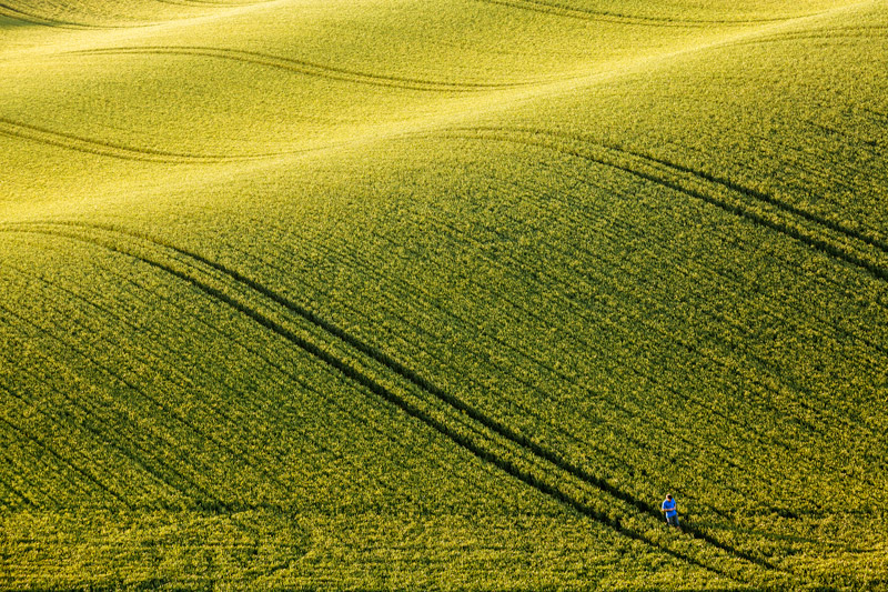 Adrift in an Ocean of Land