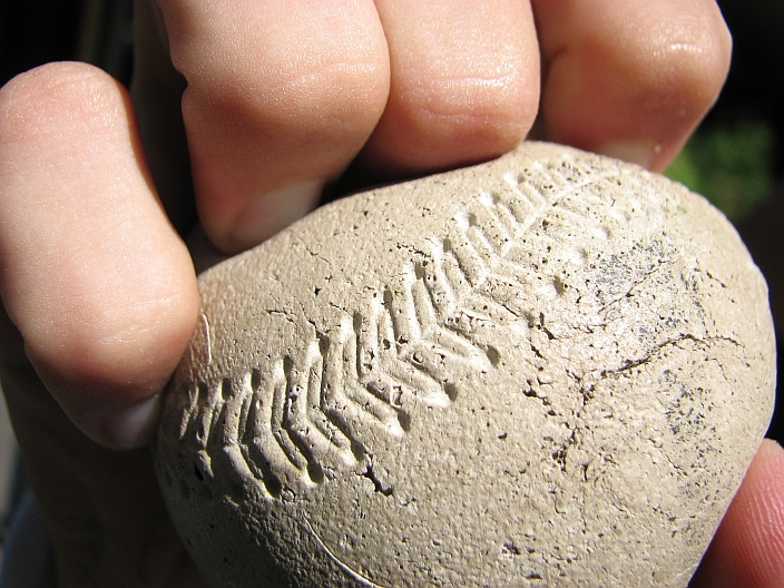Extreme Knuckleball