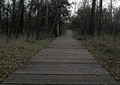 In Between Seasons 