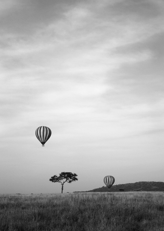 Over The Serengeti