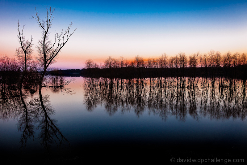 In the Flood