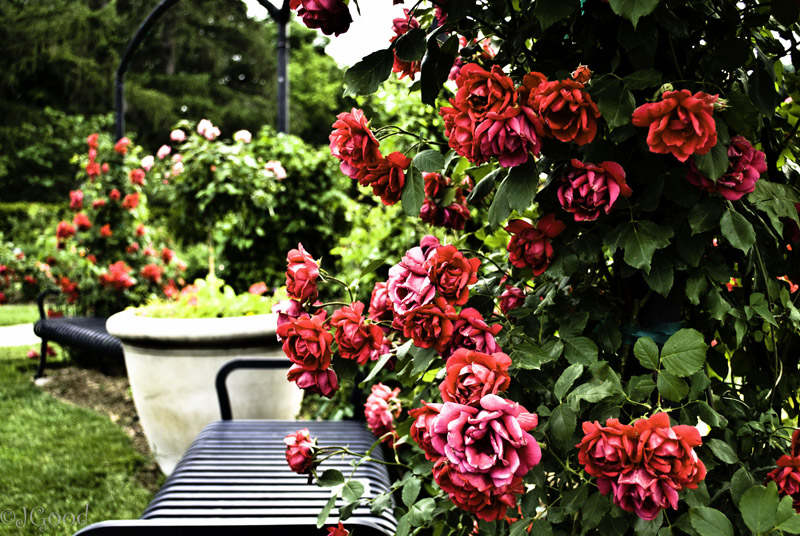 relaxation in the garden