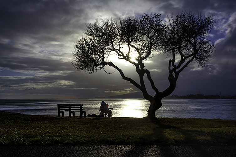 A Bench Unused