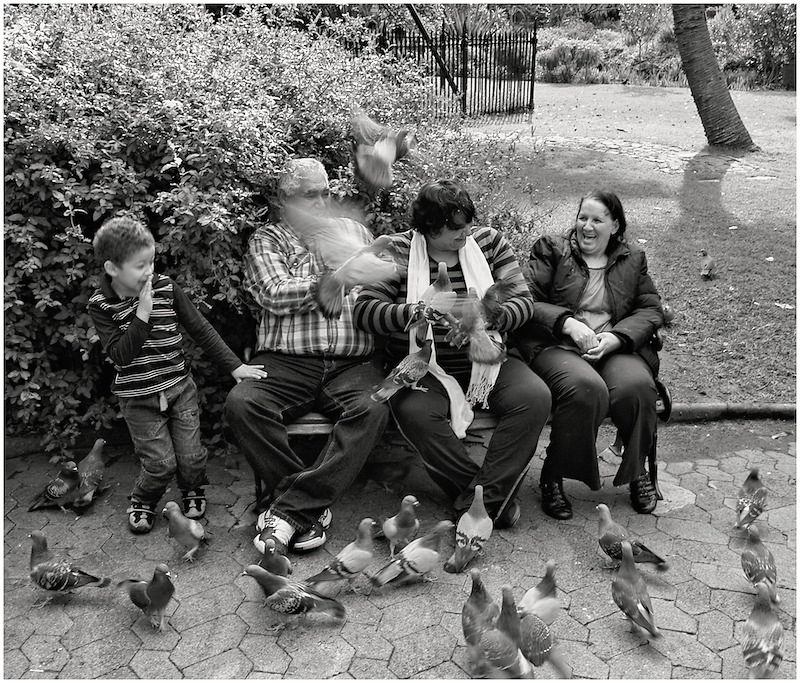 Fun on a bench