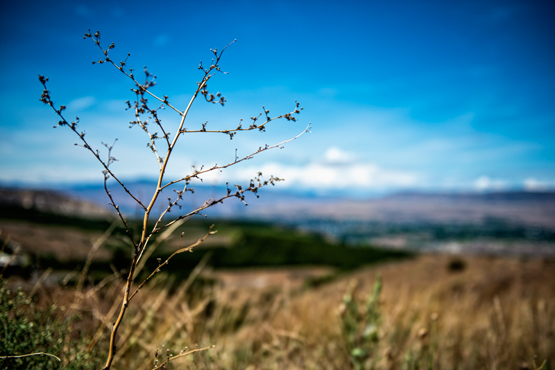 Cascade Foothills